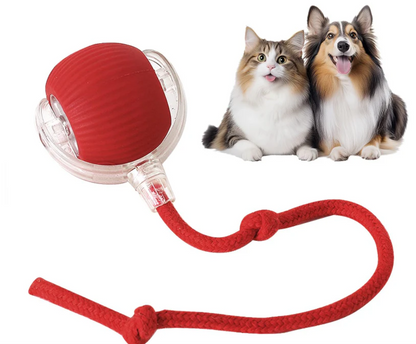 Pelota Smart Interactiva Perros y Gatos Recargable