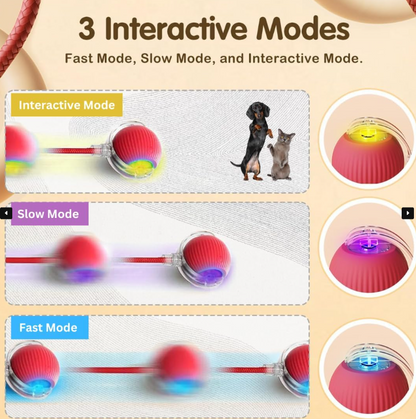 Pelota Smart Interactiva Perros y Gatos Recargable