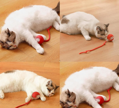 Pelota Smart Interactiva Perros y Gatos Recargable