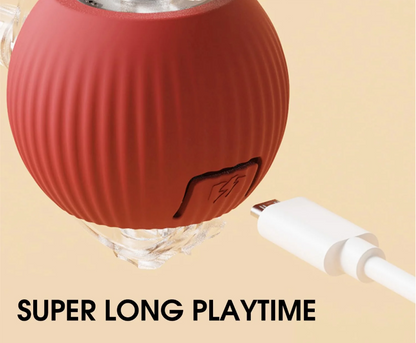 Pelota Smart Interactiva Perros y Gatos Recargable